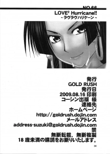 (C76) [GOLD RUSH (Suzuki Address)] Love² Hurricane!! (One Piece) [English] {Doujin-Moe.us} - page 32