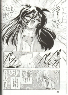 (C51) [Ichikumi (Kazuneko)] W MIND (Pretty Sammy) - page 33