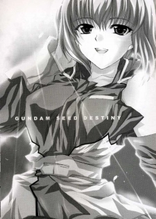 [FANTASY WIND] L-S (Kidou Senshi Gundam Seed Destiny) - page 2