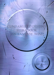 [FANTASY WIND] L-S (Kidou Senshi Gundam Seed Destiny) - page 18