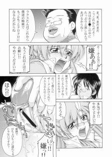 (C65) [GOLD RUSH (Suzuki Address)] Emotion (Ura) (Gundam SEED) - page 14