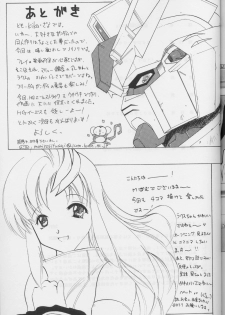 (CR35) [Studio Wallaby (Kika = Zaru, M-Bomb)] G-SEED girls (Gundam SEED) - page 47