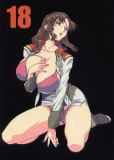 (C64) [studio C-TAKE (Miura Takehiro)] GUNYOU MIKAN vol.18 (Mobile Suit Gundam SEED)