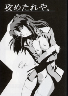 (C64) [studio C-TAKE (Miura Takehiro)] GUNYOU MIKAN vol.18 (Mobile Suit Gundam SEED) - page 22