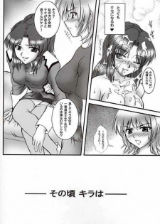 (CR33) [Kuroyuki (Kakyouin Chiroru)] Gohoushi Club 03 (Kidou Senshi Gundam SEED) - page 13