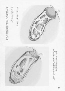 (Puniket 15) [P.A. Project (Teruki Kuma)] Himeinu (Fushigiboshi no Futagohime) - page 13