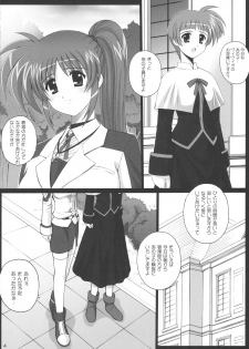 (COMIC1☆3) [Kamogawaya (Kamogawa Tanuki)] Nineteens N (Mahou Shoujo Lyrical Nanoha) - page 3