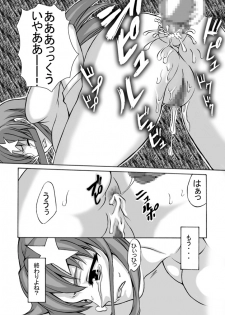 [Shinyanchi] Follower (Gundam Seed Destiny) - page 25