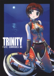 (C68) [ZI0TOPIA (Yamato Masaomi)] Trinity (Dynasty Warriors)