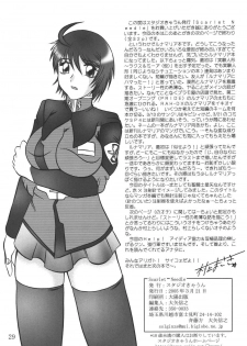 (CSP4) [Studio Kyaun (Murakami Masaki)] Scarlet Needle (Gundam SEED DESTINY) - page 28