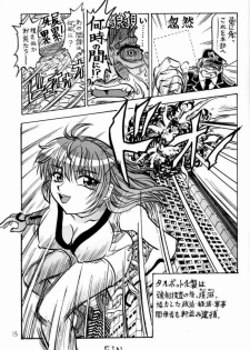 Shikarensa (Dead Or Alive Kasumi) - page 14