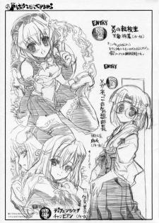(C70) [Neko-bus Tei (Shaa)] THE Hayate DE Pon! Lite (Hayate the Combat Butler) - page 22