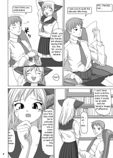 (C64) [Aa, Warera Katou Hayabusa Sentoutai (Katou)] Maru-Maru | Maru2 [English] - page 4