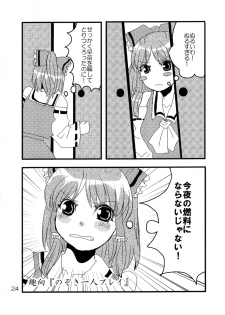 (C74) [Feriko Misshitsu] Kimi wa Uruwashi (Touhou) - page 25