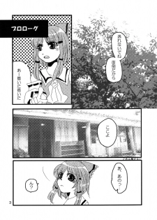 (C74) [Feriko Misshitsu] Kimi wa Uruwashi (Touhou) - page 4