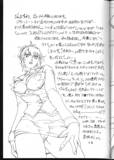 (C62) [Sangetsu No Lion (Don Shigeru)] DENGEKI (AIKa) - page 12