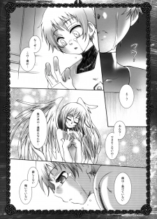 (C74) [Luciferhood (Uchoten)] Who Killed Cock Robin? (Gundam 00) - page 19