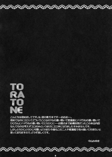 (Kouroumu 5) [Nimame (Nakayama Miyuki)] TORATONE (Touhou Project) - page 7