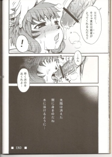 (C75) [PINK VENUS (Suma Miru)] END SUN (Final Fantasy XI) - page 19