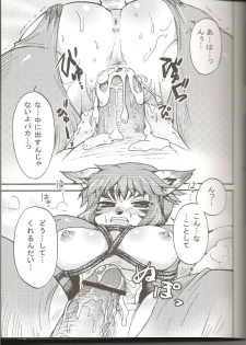 (C75) [PINK VENUS (Suma Miru)] END SUN (Final Fantasy XI) - page 18