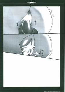 [Luna Plan] Gene Instinct (Breath of Fire) - page 27