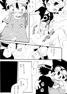 (C65) [KuruGuru DNA (Hoshiai Hilo)] Tai Taku Tai (Digimon) - page 16