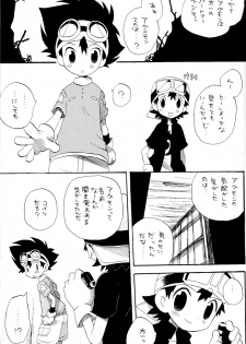 (C65) [KuruGuru DNA (Hoshiai Hilo)] Tai Taku Tai (Digimon) - page 17