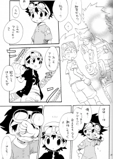 (C65) [KuruGuru DNA (Hoshiai Hilo)] Tai Taku Tai (Digimon) - page 19