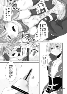[Ponkotsu Works] Ragnarok Online Soushuuhen Sugoi XX Yattema - page 22