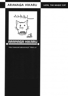 [Aranaga Hikaru] Mahou Neko Leon | Leon the Magic Cat (Shounen Ai no Bigaku 02 The Yancha Shounen) [English] - page 19