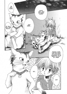 [Aranaga Hikaru] Mahou Neko Leon | Leon the Magic Cat (Shounen Ai no Bigaku 02 The Yancha Shounen) [English] - page 16