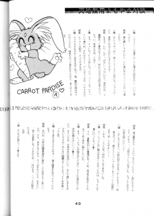 [System Gzzy] Tenchi Touraku DDT (Tenchi Muyou!) - page 39