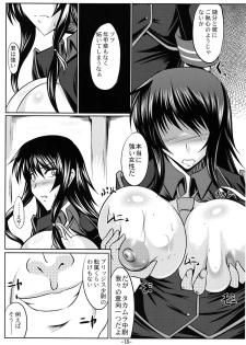 (C76) [Kanten Jigenryuu (Kanten)] Kaiin Konoe (Muv-Luv Alternative: Total Eclipse) - page 17