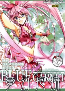 (C80) [BLUE GARNET (Seizawa Katsumi)] Mugen Houyou (Suite Precure) [Chinese] [不咕鸟汉化组]