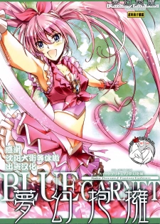 (C80) [BLUE GARNET (Seizawa Katsumi)] Mugen Houyou (Suite Precure) [Chinese] [不咕鸟汉化组] - page 1