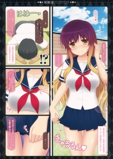 (C88) [HEXIVISION (CPU)] Seifuku Zuma Fantastica (Touhou Project) - page 4