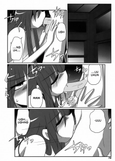 (C81) [Kieyza cmp (Kieyza)] TOHO N+ FUTEN (Touhou Project) [English] [Decensored] - page 17