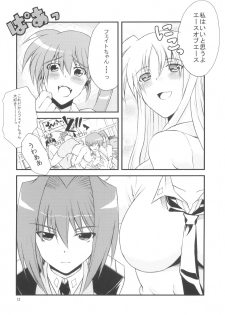 (C74) [Kai.Tenchou (Murai G)] Re birth (Mahou Shoujo Lyrical Nanoha) - page 11