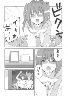 (C74) [Kai.Tenchou (Murai G)] Re birth (Mahou Shoujo Lyrical Nanoha) - page 17