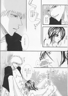 [TRANCEG (Tokugawa Miyo)] Lovers' Soul (Bleach) - page 13