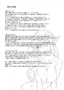 [SlapStickStrike (Stealth Changing Line)] Toaru Elf o Hikitorimashite Shunmin no Hi [Chinese] [无毒汉化组] [Digital] - page 24