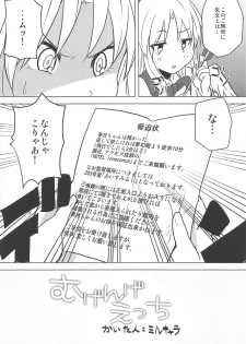 (Yougakudan Carnival! 7) [Yanagisegawa (Milcara)] Mugenge Ecchi (Touhou Project) - page 5