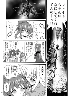 [Thirty Saver Street (Maki Hideto, Sawara Kazumitsu, Yonige-ya no Kyou)] Storage Bind 7 (Mahou Shoujo Lyrical Nanoha) [Digital] - page 14