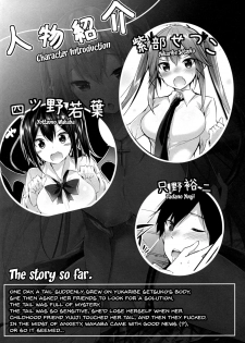 (C92) [Chocolate Land (kakao)] Koakuma Setsuko no Himitsu vol. 2 [English] [Doujins.com] - page 3