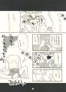 (C53)  [Sairo Publishing (J. Sairo, Satomi Hiroyuki, Ingram'97)] Slayers Parody (Slayers) - page 29