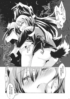 (C88) [Animal Passion (Yude Pea)] Jinrou Nioi ni Hoyureba Yamabiko Koe ni Hoyu (Touhou Project) [Chinese] [兔子个人汉化] - page 20