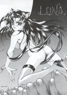 (C43) [Studio Z-Agnam (Azuma Kyouto, Hibiki Jun) DOHGA KOMUSUME 2 (Sailor Moon, Minky Momo, Zettai Muteki Raijin-Oh) - page 13