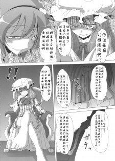 (C79) [Hibiki (Iganseijin)] Patchu+Sato Ni Jitome de Mikudasareru Hon (Touhou Project) [Chinese] [靴下汉化组] - page 10