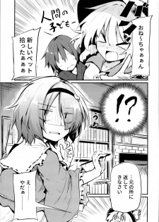 (C95) [Arutana (Chipa)] Shikata no Nai Ko desu nee to Iinagara Iresasete Kureru Satori Onee-chan (Touhou Project) - page 5