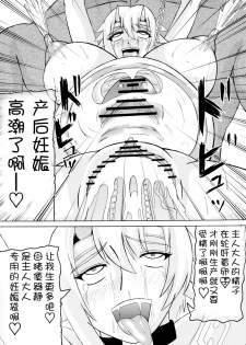 (SC37) [Kyoten Heichou (Iwai Takeshi)] Kyoufu no 14 e Ike (Queen's Blade) [Chinese] [不咕鸟汉化组] - page 28